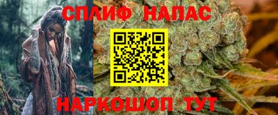 крисы Янаул