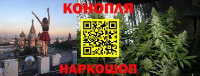крисы Янаул