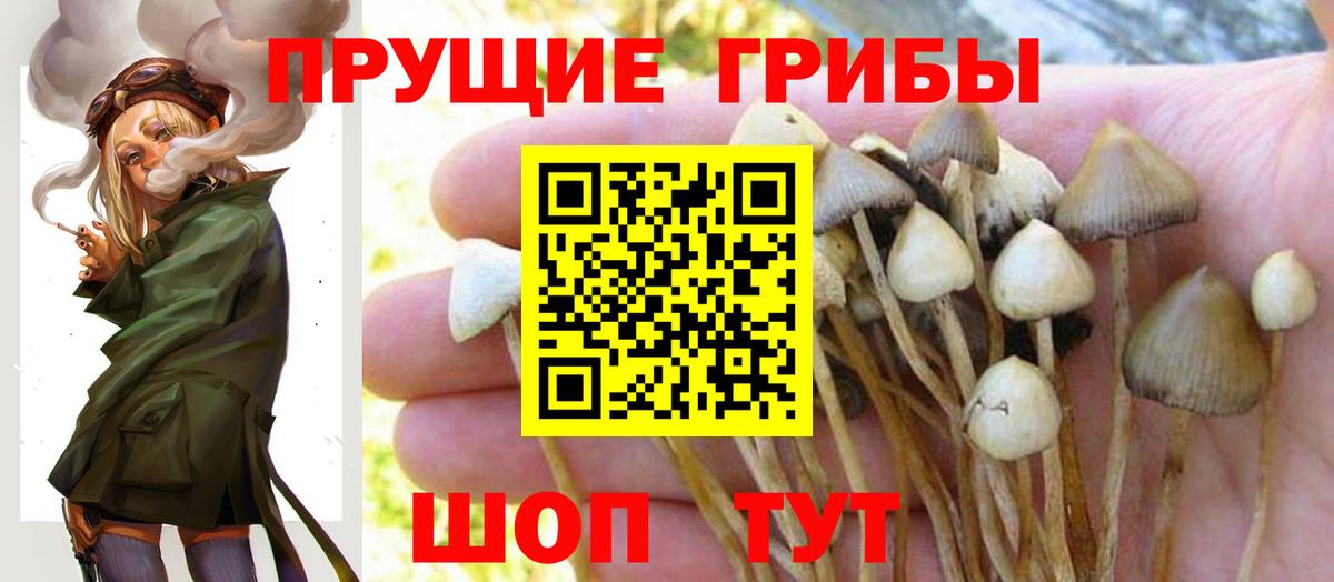 Галлюциногенные грибы мицелий Тосно