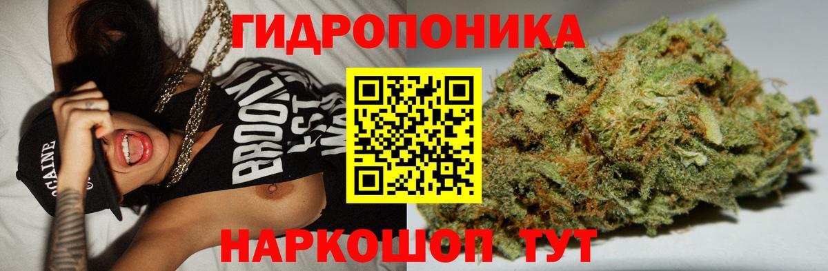 Канабис план  Марихуана White Widow  Вход с VPN  Тосно  Бошки Шишки Ganja 